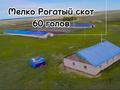 Крестьянская хозяйство · 8000 м², бағасы: 300 млн 〒 в Актобе — фото 12