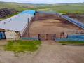 Крестьянская хозяйство · 8000 м², бағасы: 300 млн 〒 в Актобе — фото 13