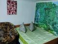 Жеке үй · 3 бөлме · 30 м², Кокмайса 10/2 — Район кольца, бағасы: 25 000 ₸ в Бурабае — фото 10