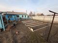 Отдельный дом · 3 комнаты · 100 м² · 12 сот., Новолодочная 47 за 15 млн ₸ в Семее — фото 6