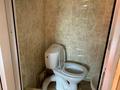 Отдельный дом · 4 комнаты · 165 м² · 6 сот., Алмалы 23 за 75 млн ₸ в Кыргауылдах — фото 21