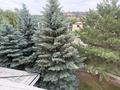 Отдельный дом · 5 комнат · 680.5 м², Кыз-жибек за 390 млн ₸ в Алматы, Медеуский р-н — фото 2