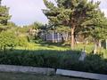 Жеке үй · 3 бөлме · 50 м², Коктобе 35а — Лес, бағасы: 30 000 ₸ в Щучинске — фото 5
