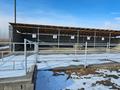 Бассейн дачасымен · 90000 м², бағасы: 80 млн ₸ в Туркестане