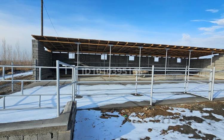 Бассейн дачасымен · 90000 м², бағасы: 80 млн ₸ в Туркестане — фото 2