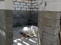 Отдельный дом · 2 комнаты · 80 м² · 8 сот., Чингирлауская 4/2 — Юбилейная за 15 млн 〒 в Аксае — фото 11