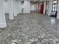 Свободное назначение · 750 м² за 160 млн ₸ в Сарани — фото 3