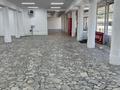 Свободное назначение · 750 м² за 160 млн ₸ в Сарани — фото 4