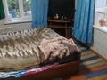Дача · 2 комнаты · 28 м² · 7 сот., Фестивальная — Иртыш за 3.5 млн ₸ в  — фото 28