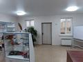 Отдельный дом · 5 комнат · 158.8 м² · 8 сот., Сарыарка, Майлин школа 49 — Школа 49 за 80 млн 〒 в Деркуле — фото 9