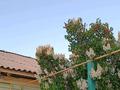 Отдельный дом · 3 комнаты · 53.8 м² · 6 сот., Сары-арка 66 за 22 млн ₸ в Жезказгане — фото 2