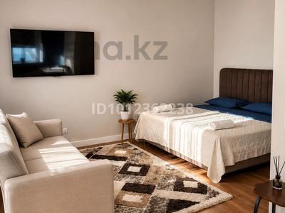1-бөлмелі пәтер · 43 м² · 2/16 қабат, Толе би 59, бағасы: 17 000 ₸ в Астане, Нура р-н
