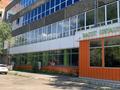 Еркін · 1380 м², бағасы: 276 млн ₸ в Усть-Каменогорске, Ульбинский — фото 7