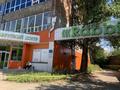 Еркін · 1380 м², бағасы: 276 млн ₸ в Усть-Каменогорске, Ульбинский — фото 9