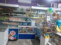 Магазины и бутики • 113 м² за 32 млн 〒 в Усть-Каменогорске — фото 5