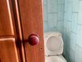 Отдельный дом · 7 комнат · 280 м² · 8.6 сот., Турысова 2 — Старый город за 60 млн ₸ в Шымкенте, Аль-Фарабийский р-н — фото 11