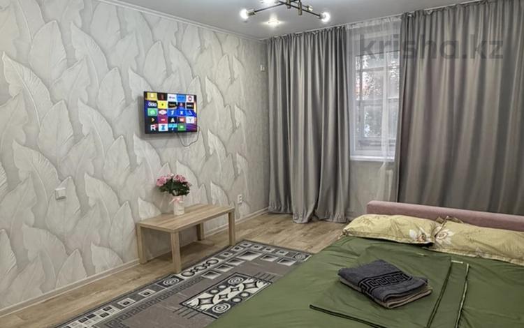 1-бөлмелі пәтер · 25 м² · 3/5 қабат, Бауыржана Момышулы, бағасы: 12 000 ₸ в Аксу — фото 12