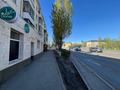 Общепит · 70 м² за 55 млн ₸ в Астане, Сарыарка р-н — фото 5