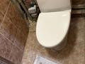 3-бөлмелі пәтер · 70 м² · 3/5 қабат, Карасу ш/а 28, бағасы: 180 000 ₸ в Шымкенте, Аль-Фарабийский р-н — фото 9