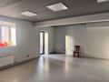 Свободное назначение · 167 м² за 45 млн ₸ в Кокшетау — фото 11