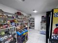 Отдельный дом · 3 комнаты · 75 м² · 4 сот., Титова 18 — Магазин три розы за 33.5 млн ₸ в  — фото 21