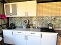Дача · 3 комнаты · 200 м², улица Виноградная 24 за 75 000 ₸ в Шымкенте, Каратауский р-н — фото 6