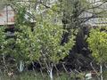 Отдельный дом · 4 комнаты · 96 м² · 12 сот., Утвинская 30 за 17 млн ₸ в Аксае — фото 8