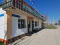 Отдельный дом · 5 комнат · 204 м² · 10 сот., мкр Самал-3, Б.Алменова 10 — улица Аргынбекова школа 87 за 65 млн ₸ в Шымкенте, Абайский р-н — фото 3