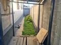 Отдельный дом · 5 комнат · 180 м² · 8 сот., Актогай 35 — Район Автопарка за 49 млн ₸ в Каскелене — фото 9
