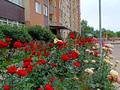 2-бөлмелі пәтер · 52 м² · 11/12 қабат, Бабаева 158 — Радостовца, бағасы: 43.5 млн ₸ в Алматы, Бостандыкский р-н