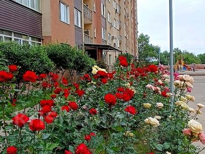 2-бөлмелі пәтер · 52 м² · 11/12 қабат, Бабаева 158 — Радостовца, бағасы: 43.5 млн ₸ в Алматы, Бостандыкский р-н