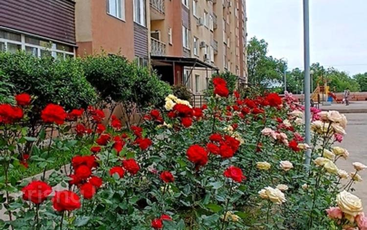2-бөлмелі пәтер · 52 м² · 11/12 қабат, Бабаева 158 — Радостовца, бағасы: 43.5 млн ₸ в Алматы, Бостандыкский р-н — фото 11