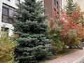 3-комнатная квартира · 150 м² · 2/6 этаж, Наурыз-2 15-27 за 800 000 ₸ в Алматы, Бостандыкский р-н — фото 58