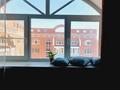 1-комнатная квартира · 40 м² · 8/8 этаж, мкр. Алтын орда, Алия Молдагулова 46в за 10 000 ₸ в Актобе — фото 8