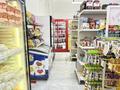 ПРОДАЁТСЯ ГОТОВЫЙ БИЗНЕС · 170 м² за 33 млн ₸ в Астане, Сарайшык р-н — фото 9