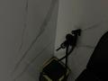 2-бөлмелі пәтер · 72 м² · 5/9 қабат, мкр Думан-2, Райымбек батыра 288 — ЖК Напротив Магнума в Думан, бағасы: 43 млн ₸ в Алматы, Медеуский р-н — фото 25