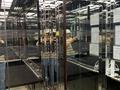 1-комнатная квартира · 47.3 м² · 3/9 этаж, Храпатого 19 — Калдаякова за 59 млн ₸ в Астане, Алматы р-н — фото 7