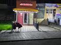 2-комнатная квартира · 44 м² · 2/5 этаж, Айбергенова 1а — Жангильдина и Айбергенова за 18 000 ₸ в Шымкенте — фото 11