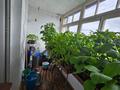 3-бөлмелі пәтер · 89.9 м² · 5/6 қабат, ул. Уалиханова, бағасы: 27 млн ₸ в Темиртау — фото 12