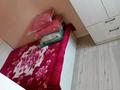 1 комната · 24 м², Асыл Арман 15 — Заде магнум, двух этажный общижитя за 80 000 ₸ в Иргели — фото 2