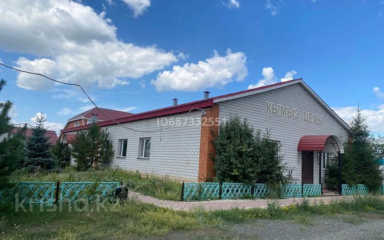 Хозяйство · 2000 м², бағасы: 250 млн ₸ в Павлодаре — фото 2