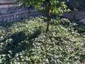 Отдельный дом · 4 комнаты · 120 м² · 6 сот., Яблочная 19а — ул шаумяна за 55 млн ₸ в Кыргауылдах — фото 22