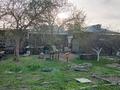 Часть дома · 4 комнаты · 60 м² · 12 сот., Дачная 58 за 11 млн ₸ в Семее — фото 6