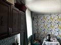 Отдельный дом · 4 комнаты · 200 м² · 6 сот., Западная 19 — Байтерек( новоалексеевка) 25 мин на машине от города Дача весна, спорт комплекс, магазин Айдар за 18 млн ₸ в Байтереке (Новоалексеевке) — фото 9