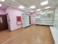 Магазины и бутики, салоны красоты · 90 м² за 19 млн ₸ в Астане, Сарыарка р-н — фото 11