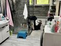 Отдельный дом · 3 комнаты · 80 м² · 5.86 сот., Чаплина 101А за 55 млн ₸ в Алматы, Медеуский р-н — фото 3
