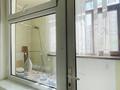 3-бөлмелі пәтер · 70 м² · 3/9 қабат, Нұрсәт ш/а 21, бағасы: 200 000 ₸ в Шымкенте, Каратауский р-н — фото 9