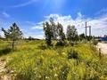 Участок · 10.51 сотка, Щербаково за 5.9 млн 〒 в Костанайской обл. — фото 6