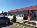 Дүкендер мен бутиктер · 2000 м², бағасы: 320 млн ₸ в Балпыке Би — фото 2