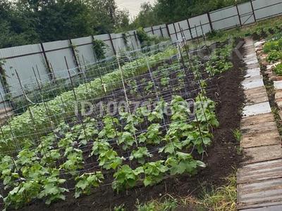 Дача · 2 комнаты · 10 м² · 8 сот., Луговая 149/8 за 4 млн 〒 в Уральске